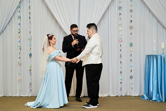 1A7305309 full size