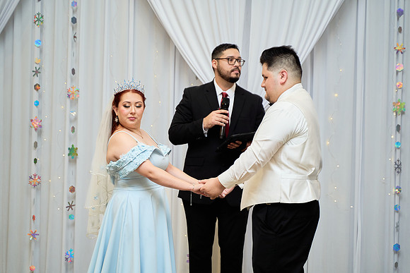 1A7305331 full size