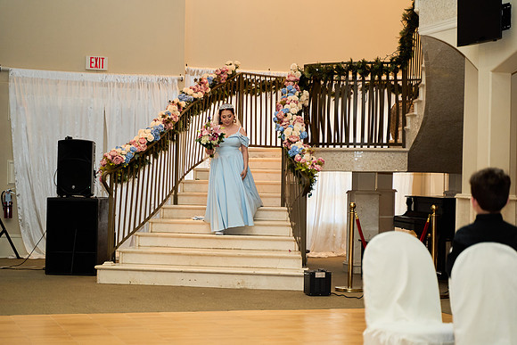 1A7305293 full size