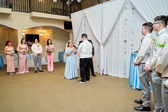 1A7305393 full size