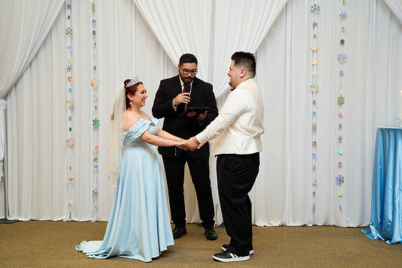 1A7305322 full size