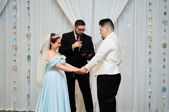 1A7305319 full size
