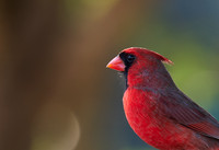 DSCF2691_1