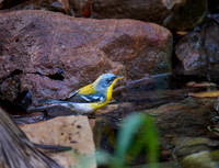 DSCF3416_1