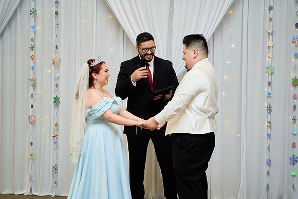 1A7305317 full size