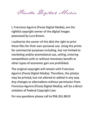 Print_Release
