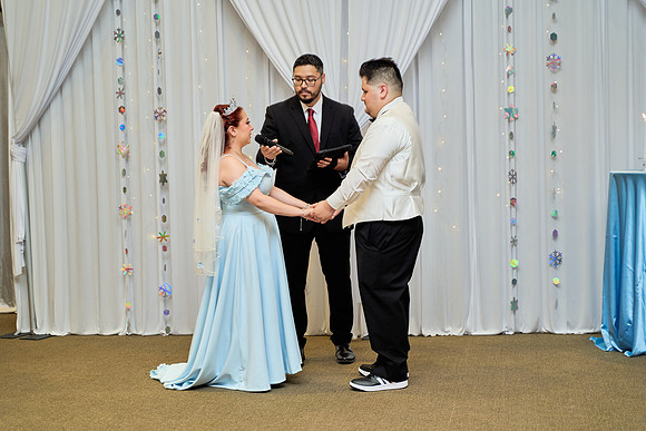 1A7305385 full size