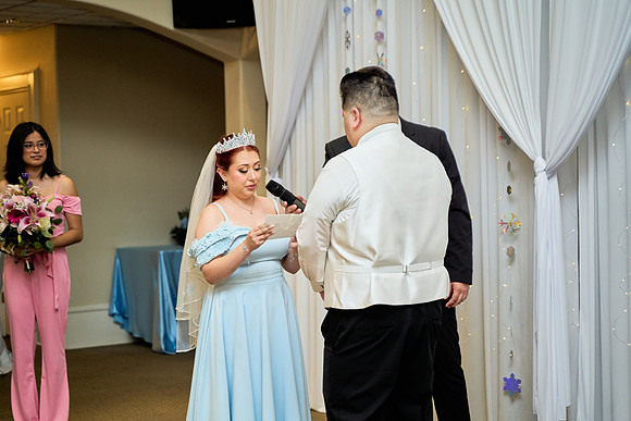 1A7305395 full size