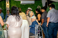 Large_-6233